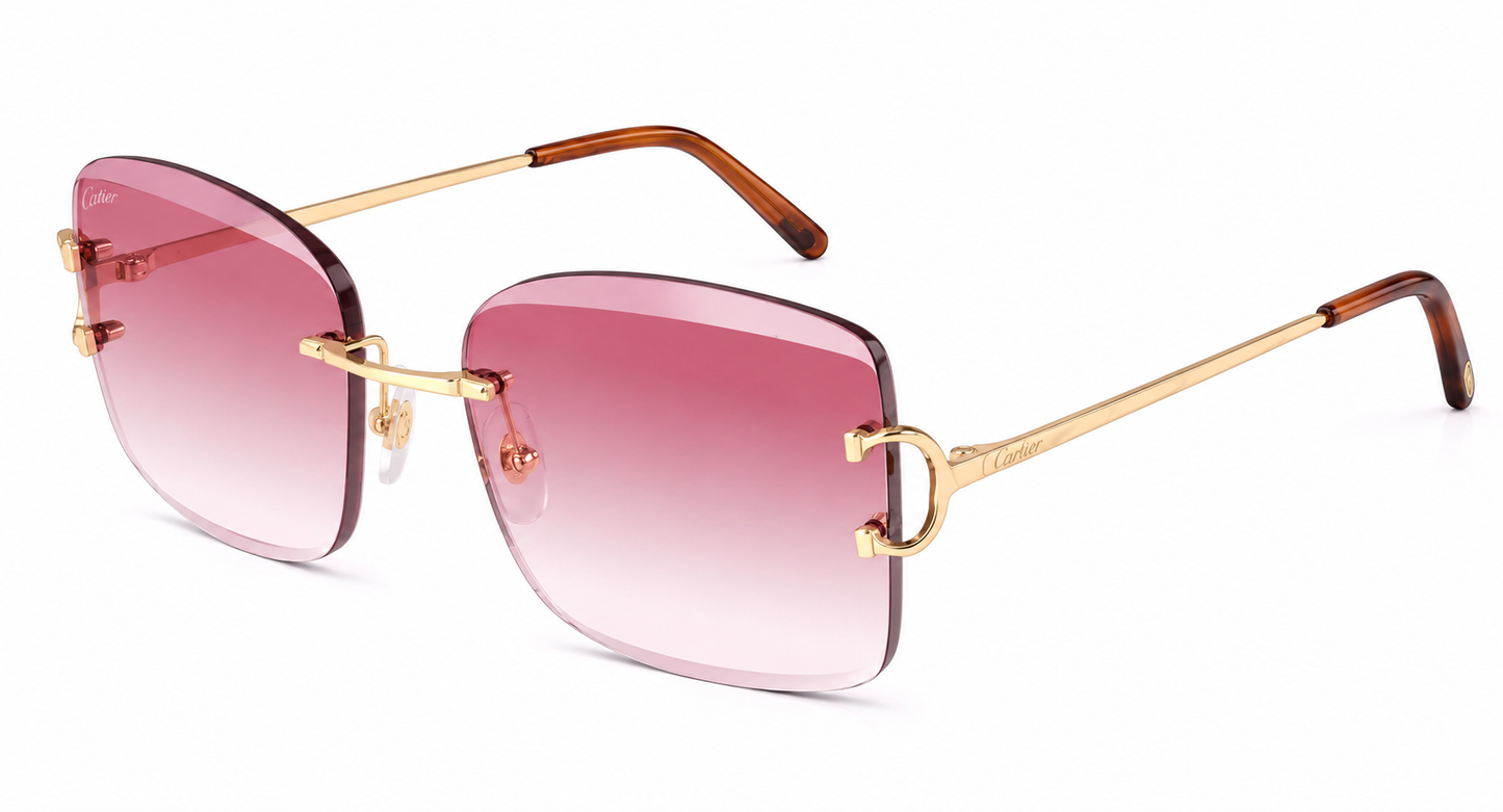 Gafas+estuche
