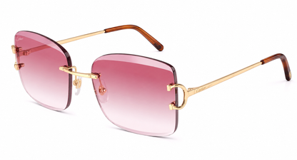Gafas+estuche